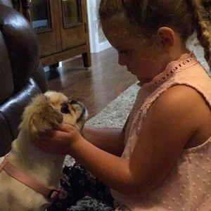 Meet your Posher, Kitty